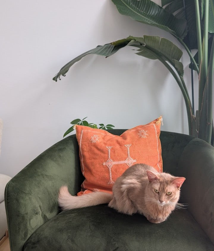 Orange Moroccan Cactus Sabra Silk Pillow